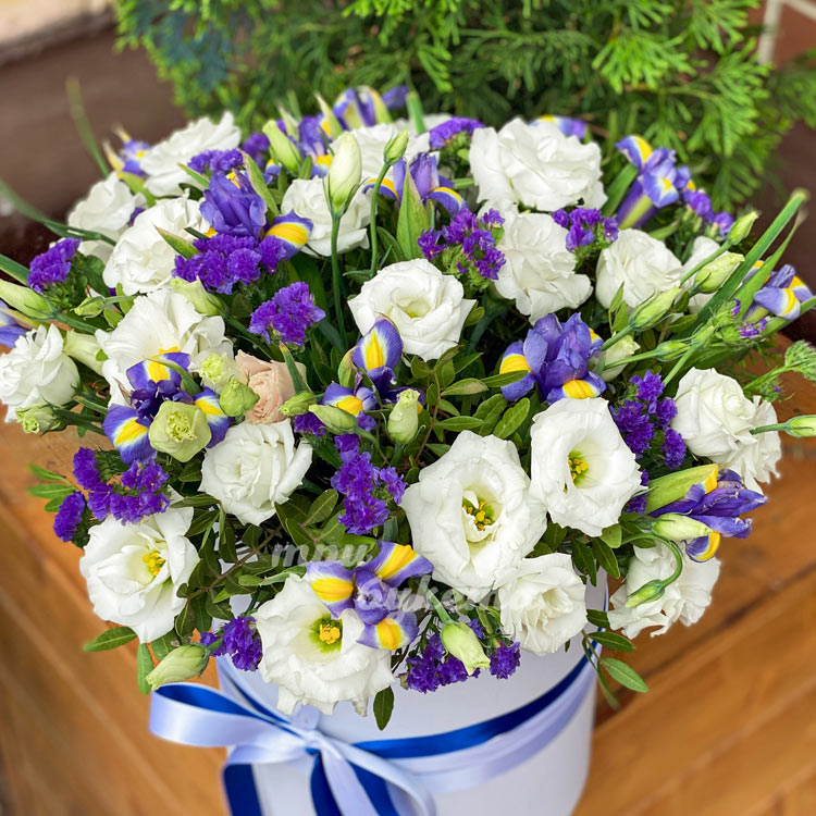 Букет в коробке «Сири» (крупный план)