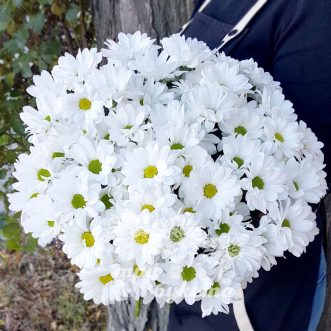 Букет белых кустовых хризантем