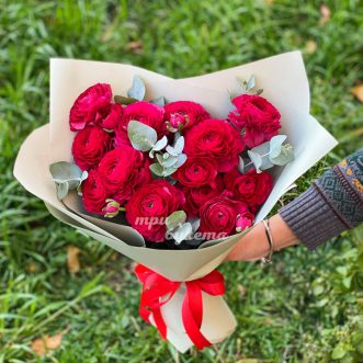 Букет из 11 алых ранункулюсов